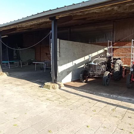 Natuur-Like Glamping In Bosland NeerNeerpelt المظهر الخارجي الصورة