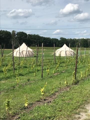 Natuur-Like Glamping In Bosland NeerNeerpelt المظهر الخارجي الصورة