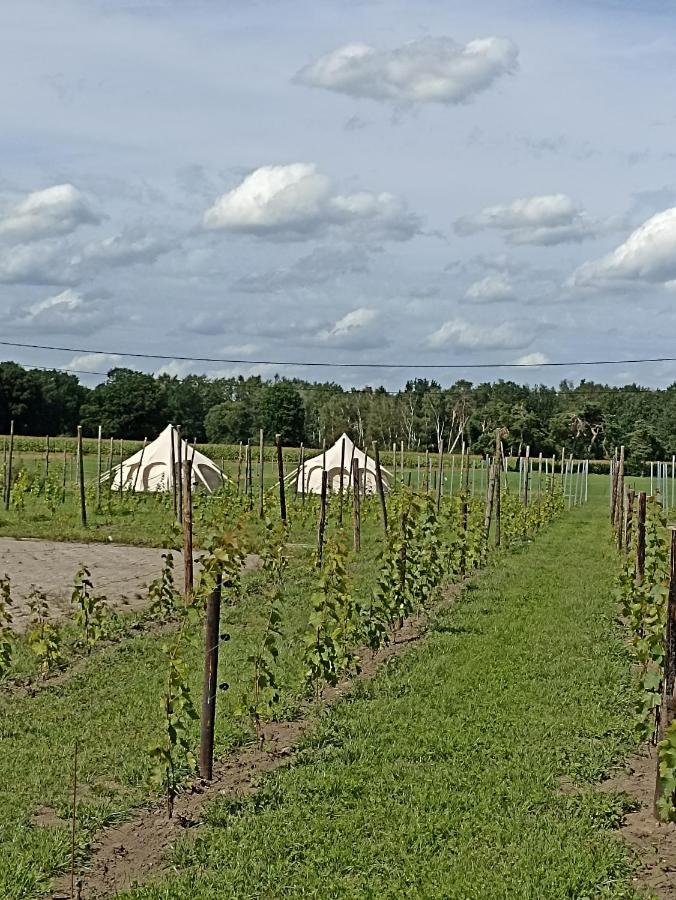 Natuur-Like Glamping In Bosland NeerNeerpelt المظهر الخارجي الصورة