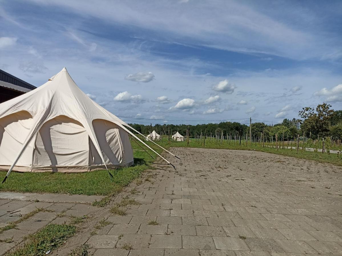 Natuur-Like Glamping In Bosland NeerNeerpelt المظهر الخارجي الصورة