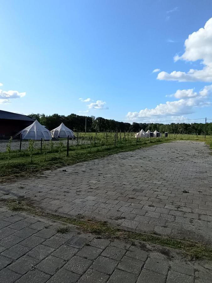 Natuur-Like Glamping In Bosland NeerNeerpelt المظهر الخارجي الصورة