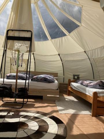 Natuur-Like Glamping In Bosland NeerNeerpelt المظهر الخارجي الصورة