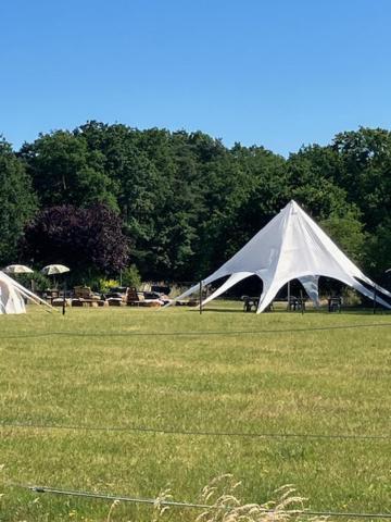 Natuur-Like Glamping In Bosland NeerNeerpelt المظهر الخارجي الصورة